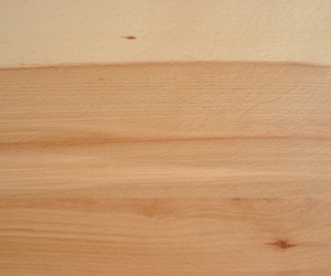 Kernbuche